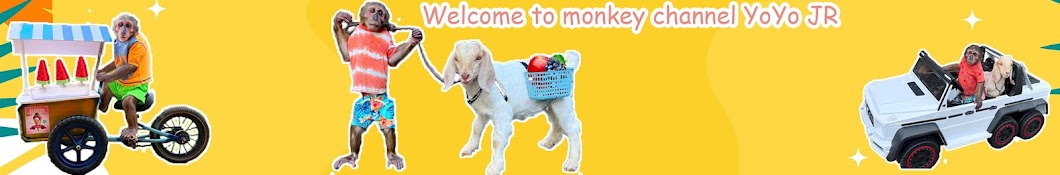  Monkey YoYo  Banner