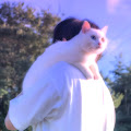 Artist Thumbnail