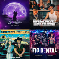 Sertanejo top 180224