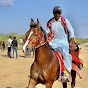 adventure & horse & fairs of kutch 