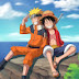 Naruto v one piece