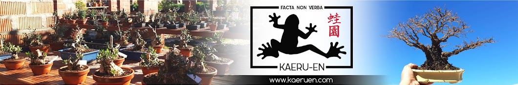 Kaeru-en 蛙園 Escuela de Bonsai Online Banner
