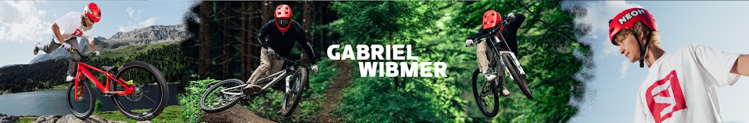 Gabriel Wibmer Banner