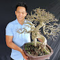 BONSAI TƯỢNG ĐÁ