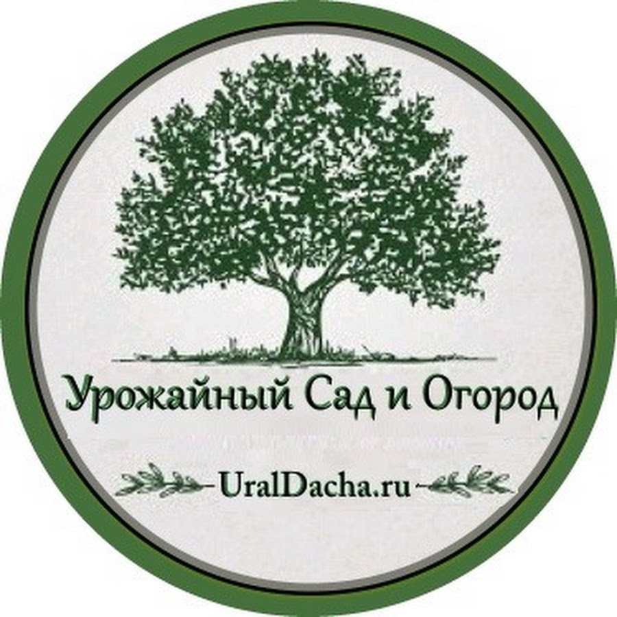 «В саду у бабушки Ани» - посев лука и томатов в парнике