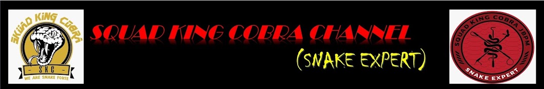squad king cobra channel Banner