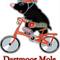 Dartmoor Mole