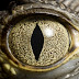 logo REPTILIANMETAL