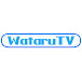 WataruTV