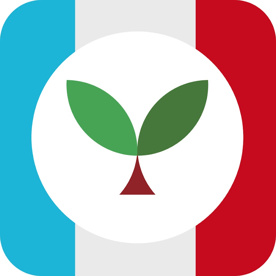 Seedlang: Learn French Faster @seedlang_french