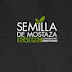 Semilla De Mostaza Ecatepec