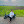 RabbyAhmed0007 avatar