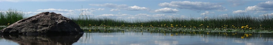 Экологические экскурсии в Петербурге.