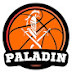 Team PALADIN