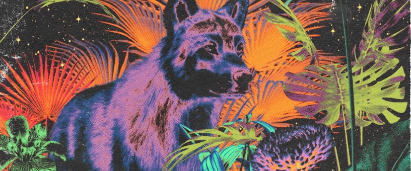 Artist Thumbnail