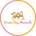 Dreams Dogs Moments