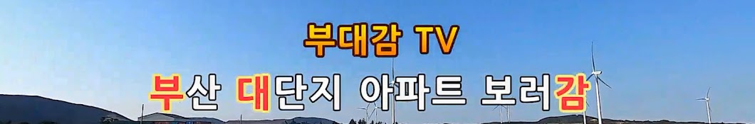 부대감 TV