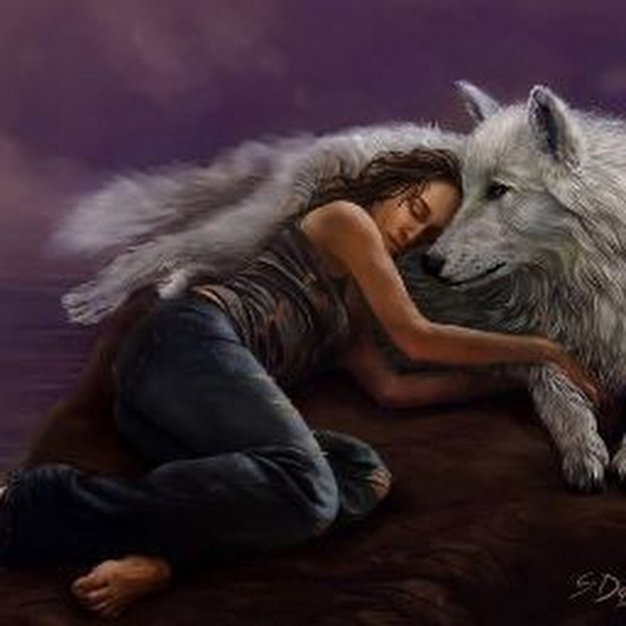 Волк обнимает девушку