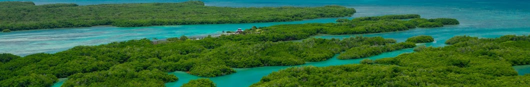 Caribbean Community Climate Change Centre 