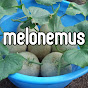 MELONEMUS