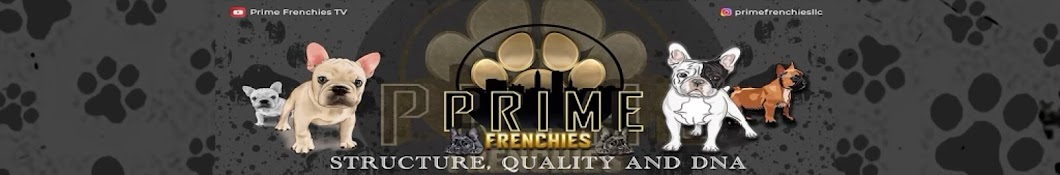 Prime Frenchies TV