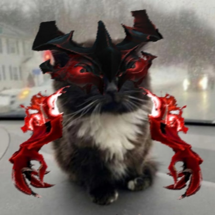 Dota cat фото