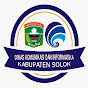 Pemerintah Kabupaten Solok