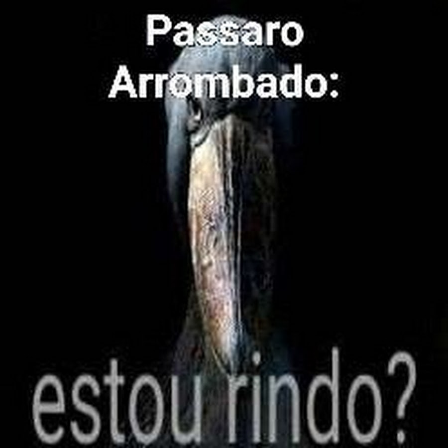 Passaro Arrombado - YouTube