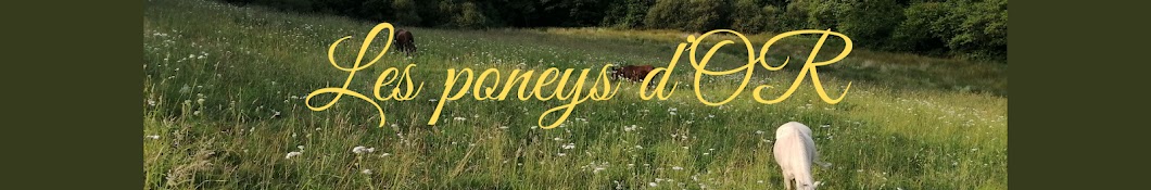 Les poneys d'OR