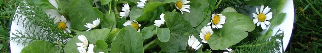 Echappées Sauvages