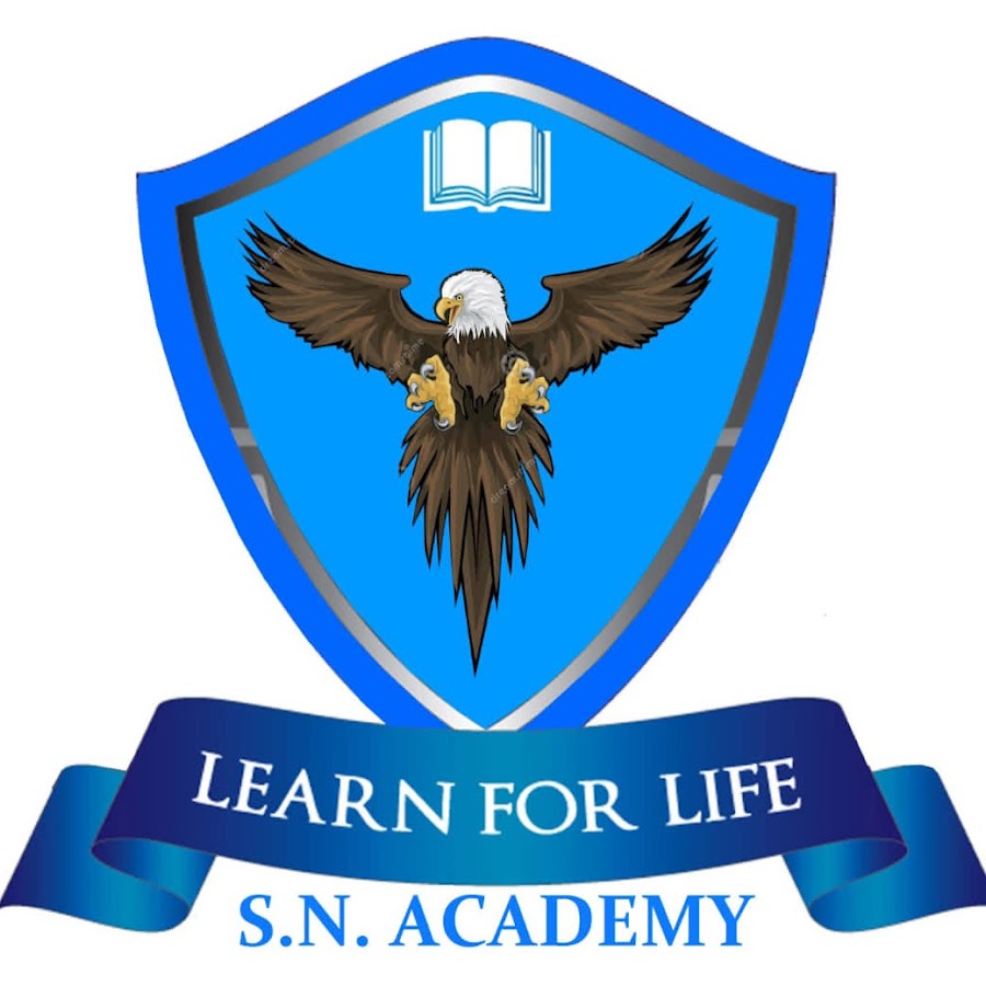 SN ACADEMY - YouTube