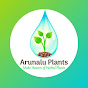 Arunalu Plants