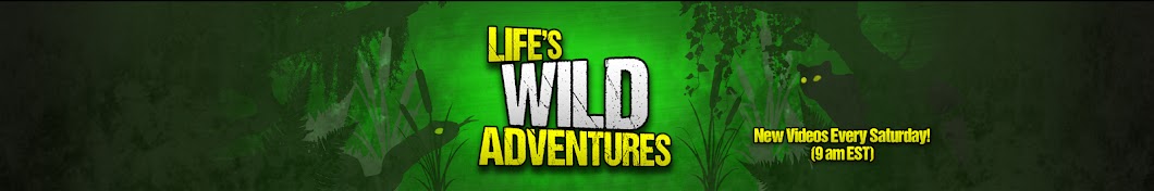 Life's Wild Adventures Banner