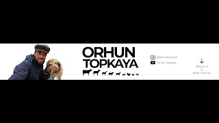 Orhun Topkaya youtube banner