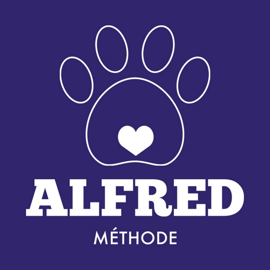 Méthode Alfred - Pack Découverte - Buzzers pour chien et chat – Methode  Alfred