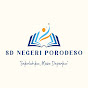 SDN PORODESO CHANNEL