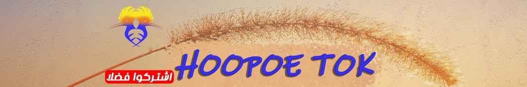 Hoopoe Tok || هدهد توك