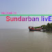 Sundarban livE