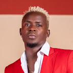 Willy Paul Thee Pozze