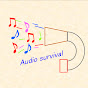 Audio survival