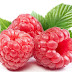 覆盆子Raspberry