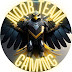 Noob Team Gaming