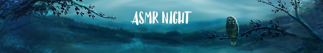ASMR Night Banner