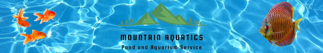 Mountain Aquatics Banner