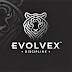 evolvex