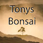 Tony's Bonsai