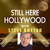 Still Here Hollywood Podcast w/ Steve Kmetko