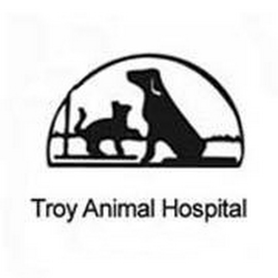 Troy Animal Hospital & Bird Clinic - YouTube