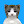 vidicat avatar