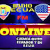 RADIO ONLINE ECUANEWYORKFM 